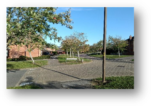 说明: A brick building with trees and a street light