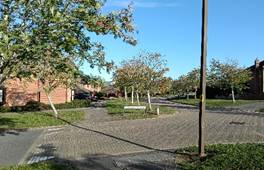 说明: 说明: A brick building with trees and a street light